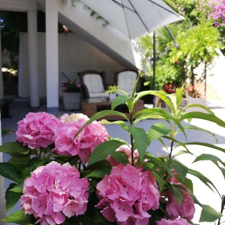 Apartments Poretti For 2,In Center Parking Free In The Yard,6 Min Beach Walk Rovinj Extérieur photo