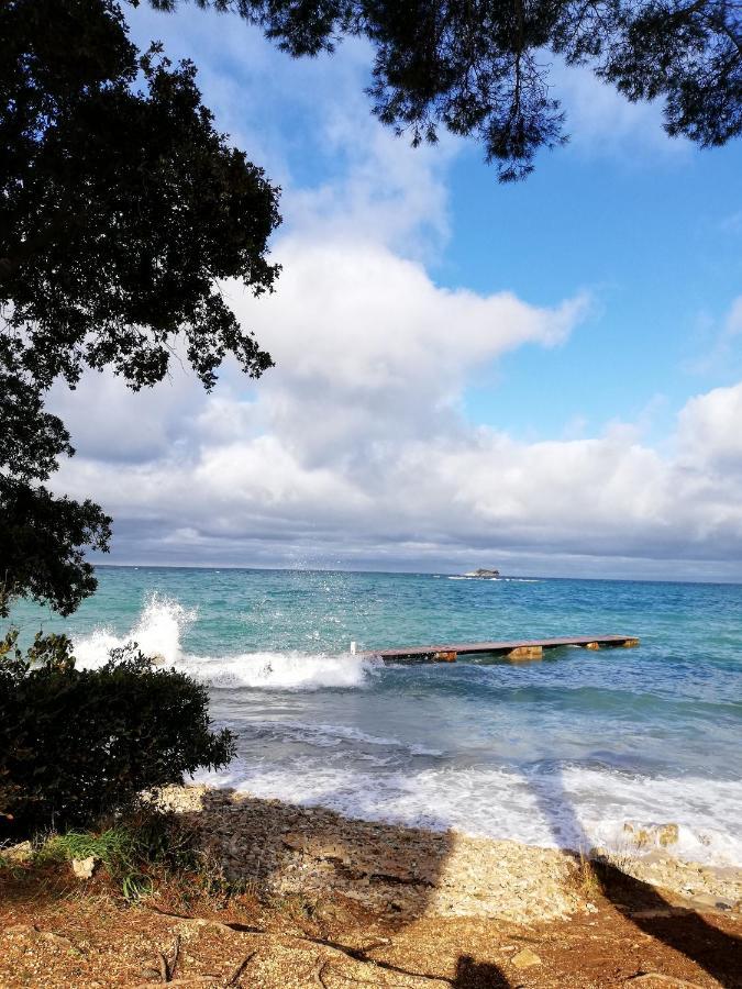 Apartments Poretti For 2,In Center Parking Free In The Yard,6 Min Beach Walk Rovinj Extérieur photo