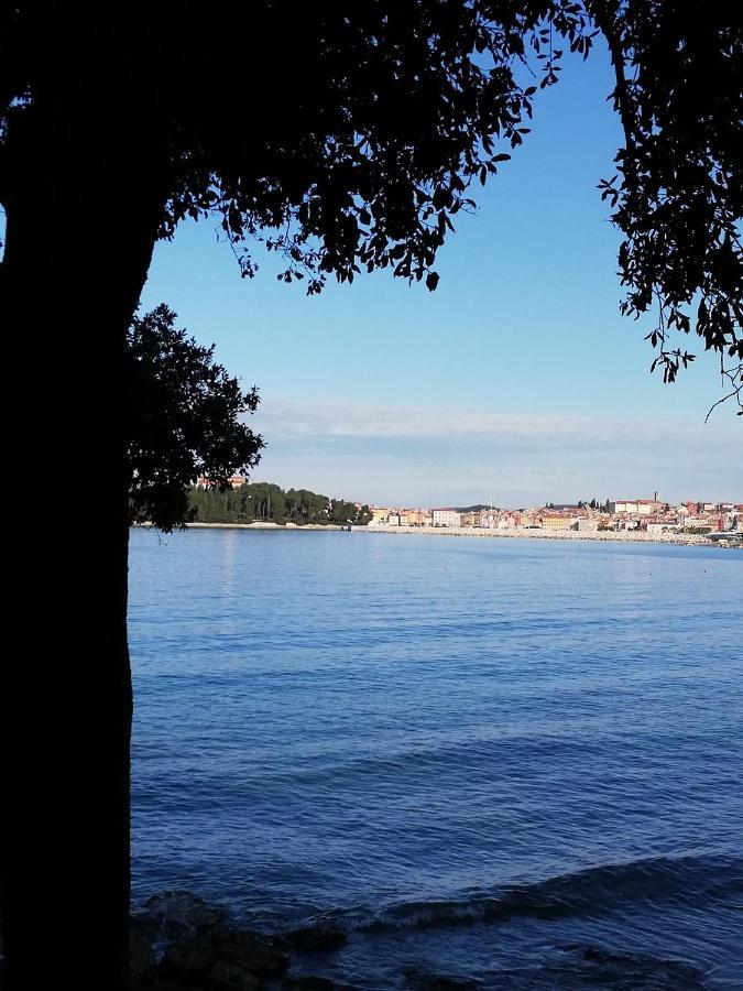 Apartments Poretti For 2,In Center Parking Free In The Yard,6 Min Beach Walk Rovinj Extérieur photo