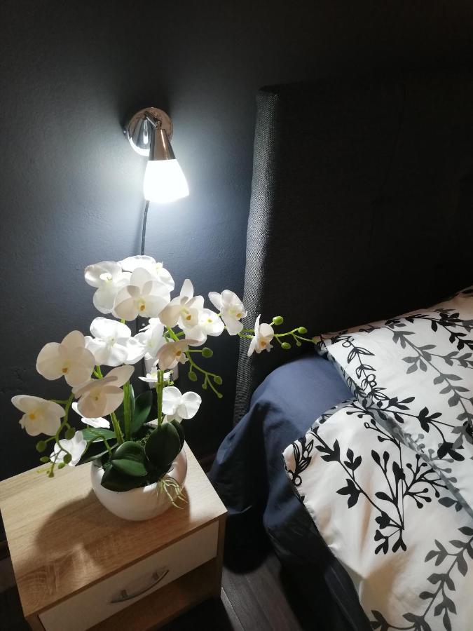 Apartments Poretti For 2,In Center Parking Free In The Yard,6 Min Beach Walk Rovinj Extérieur photo