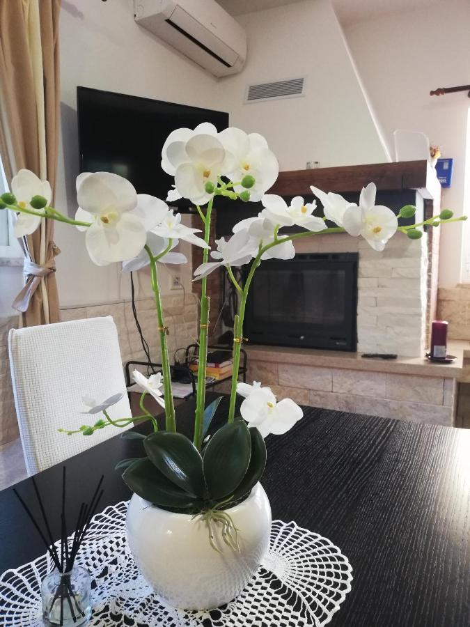 Apartments Poretti For 2,In Center Parking Free In The Yard,6 Min Beach Walk Rovinj Extérieur photo