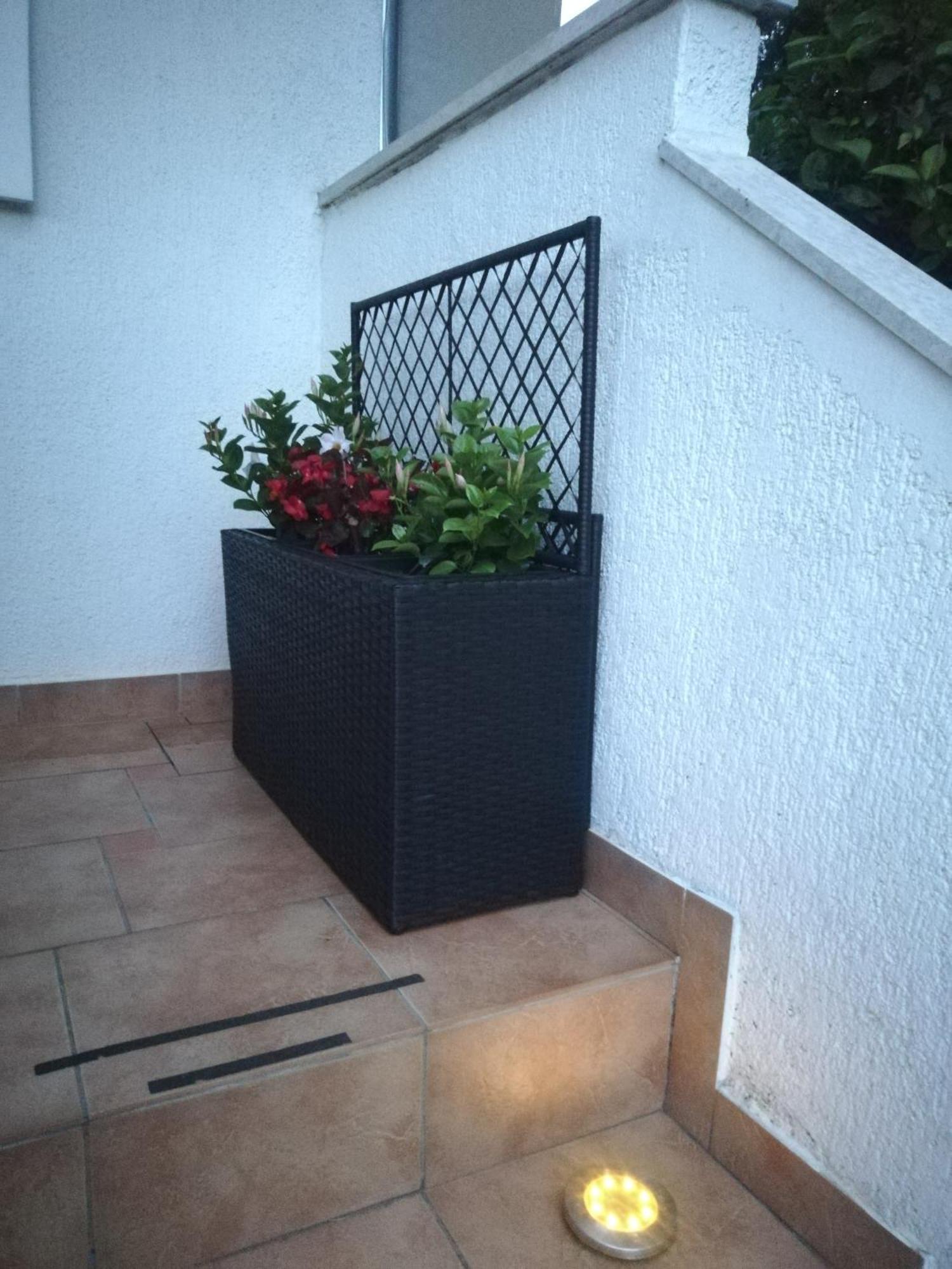 Apartments Poretti For 2,In Center Parking Free In The Yard,6 Min Beach Walk Rovinj Extérieur photo