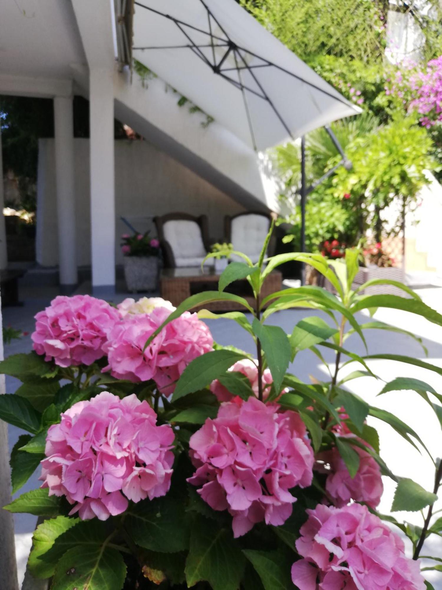 Apartments Poretti For 2,In Center Parking Free In The Yard,6 Min Beach Walk Rovinj Extérieur photo